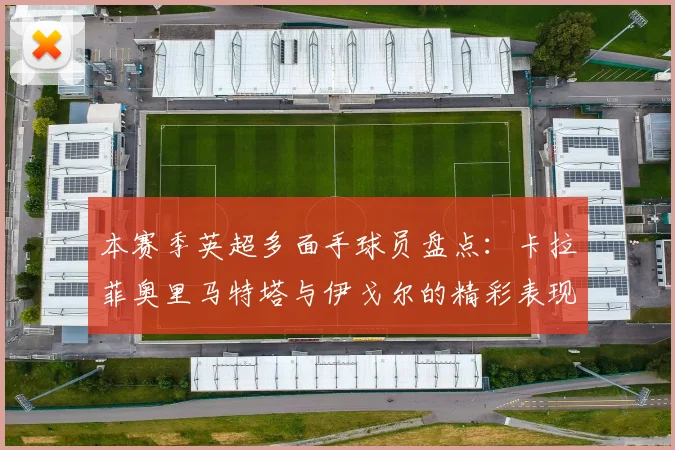 本赛季英超多面手球员盘点：卡拉菲奥里马特塔与伊戈尔的精彩表现